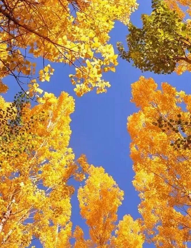 1506648140129619.jpg QQ截圖20170929092344.jpg