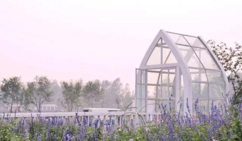 1508033374990338.jpg QQ截圖20171015101507.jpg