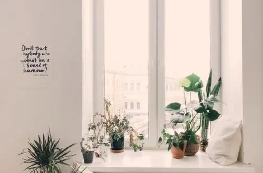 1588650204120007.jpg 11.jpg