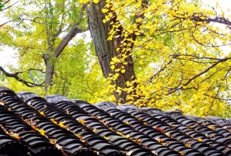 換套屬於自己心情的門窗，讓你愛（ài）上這個（gè）秋天。