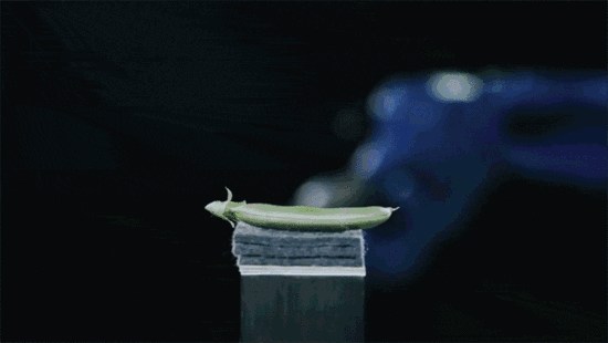 <strong>中國精密減速（sù）器技術如何趕超日本</strong>