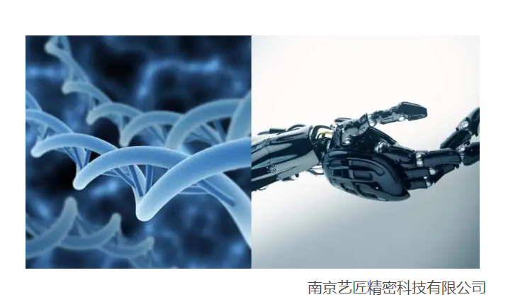 <strong>現代（dài）醫學以及生物工程技術的精密零件器材的發展</strong>